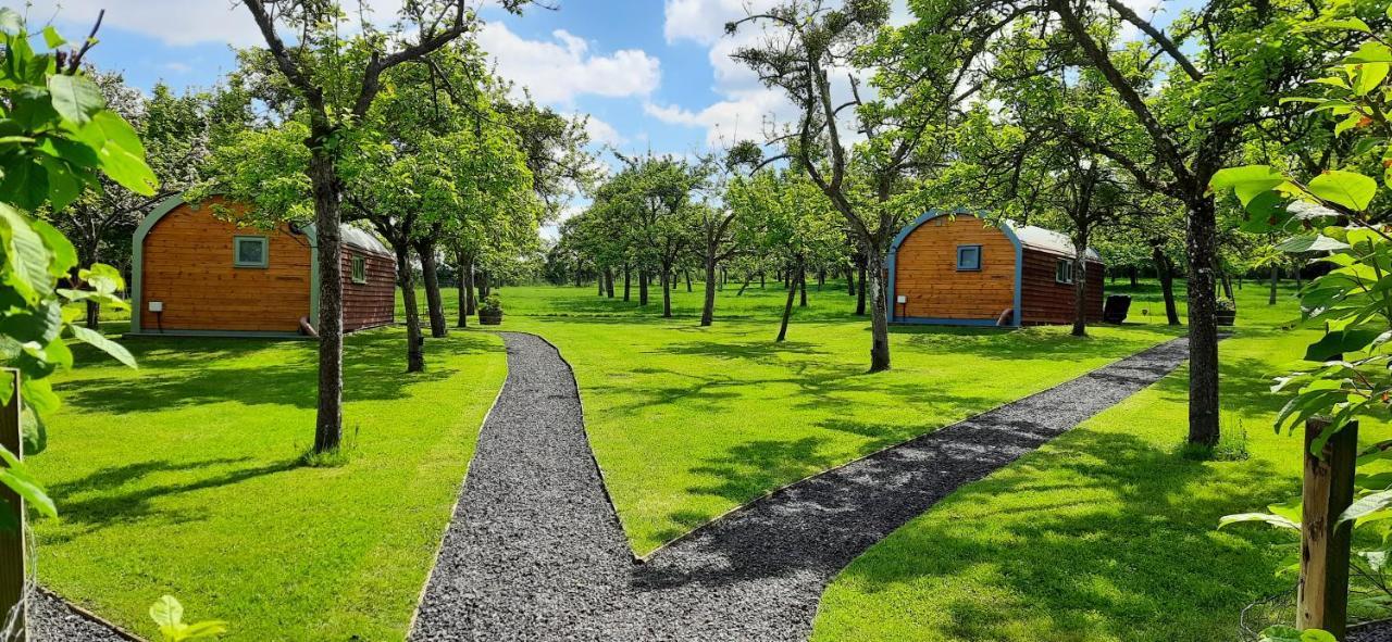 Orchard Farm Luxury Glamping And Campsite Glastonbury Exteriér fotografie