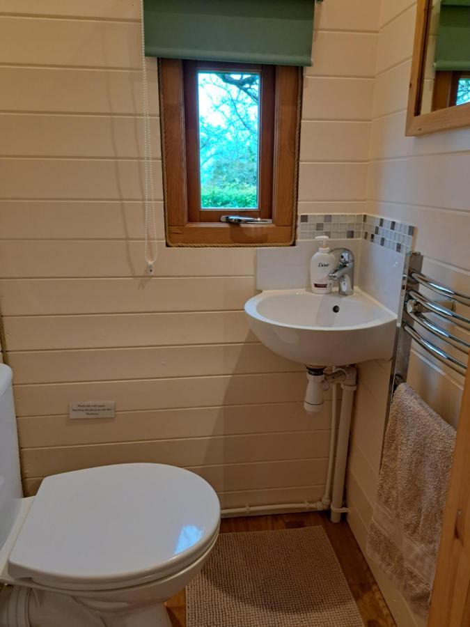 Orchard Farm Luxury Glamping And Campsite Glastonbury Exteriér fotografie