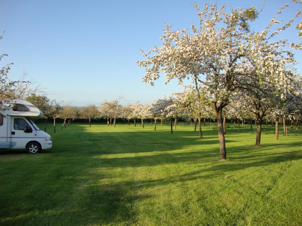 Orchard Farm Luxury Glamping And Campsite Glastonbury Exteriér fotografie