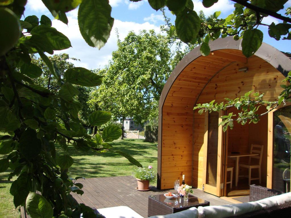 Orchard Farm Luxury Glamping And Campsite Glastonbury Exteriér fotografie