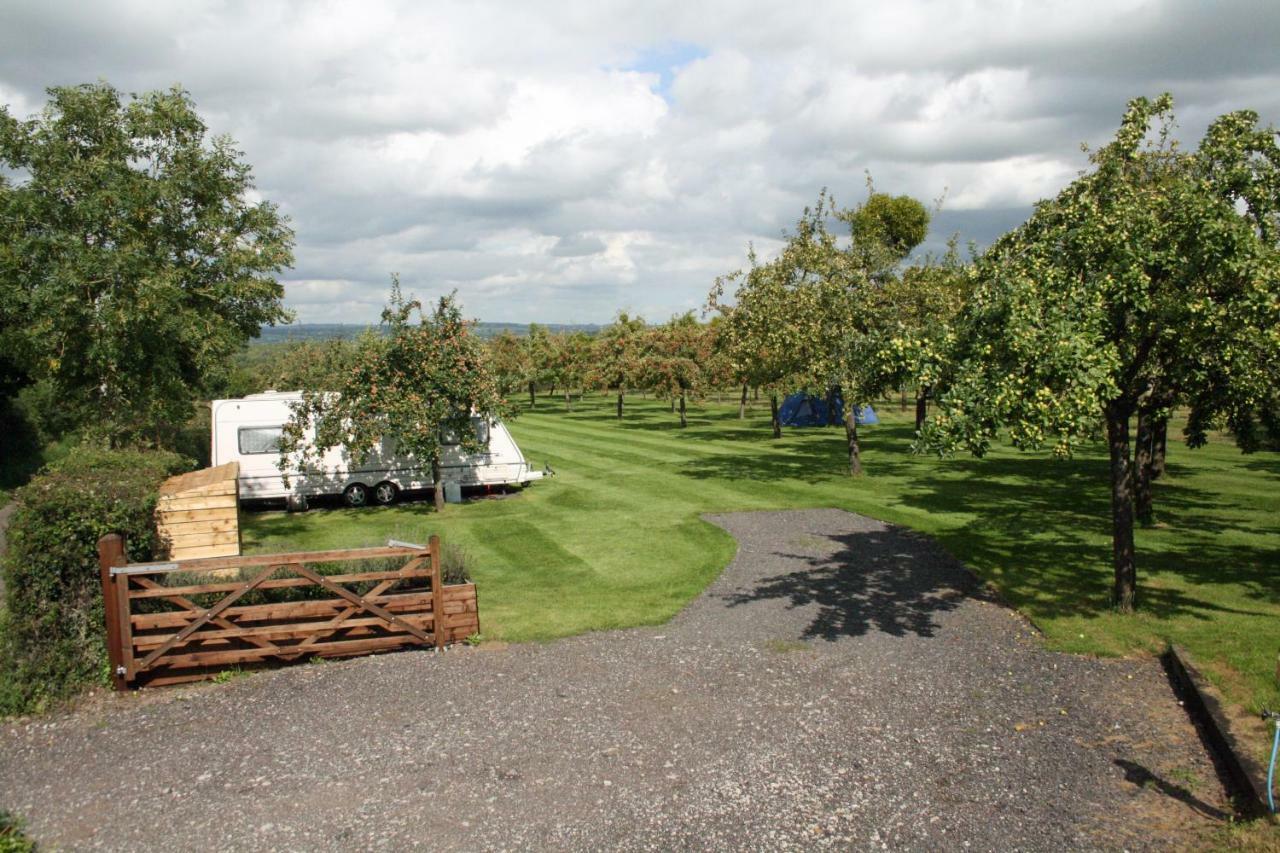 Orchard Farm Luxury Glamping And Campsite Glastonbury Exteriér fotografie